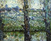 Vincent Van Gogh Orchard in Bloom with Poplars painting